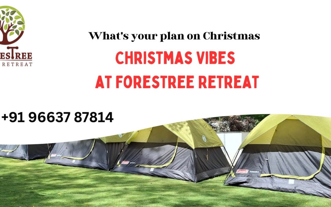 December Dreams: Festive Weather & Christmas Vibes at Forestree Retreat