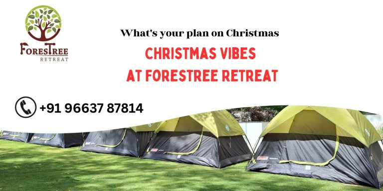 Celebrate December & Christmas in Style at Forestree Retreat