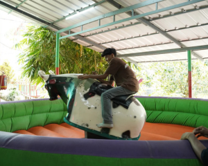 Bull Ride